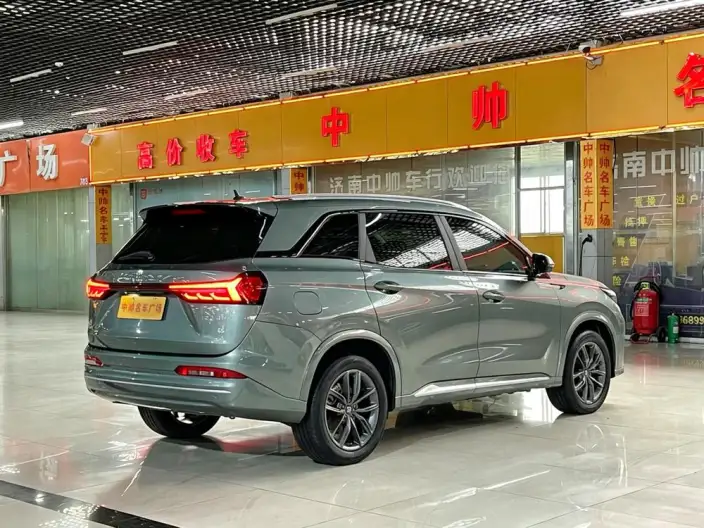 Blue Electric E5 2023 Model 1.5L DE-i Changxiang Edition Model – фото 6