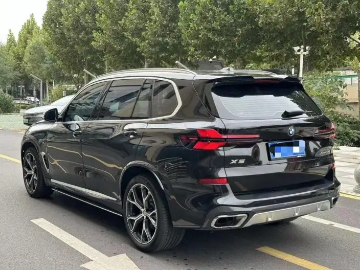 BMW X5 2023 Model xDrive30Li Exclusive Model M Sports Night Set – фото 4