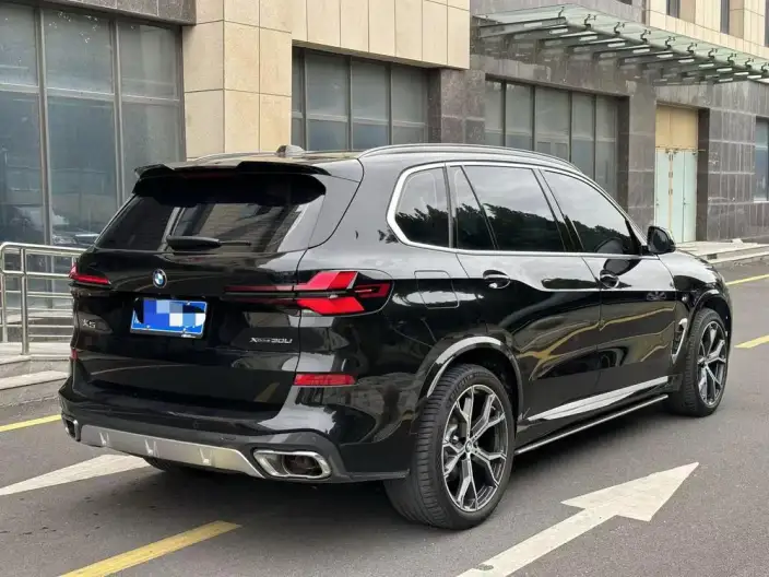 BMW X5 2023 Model xDrive30Li Exclusive Model M Sports Night Set – фото 6