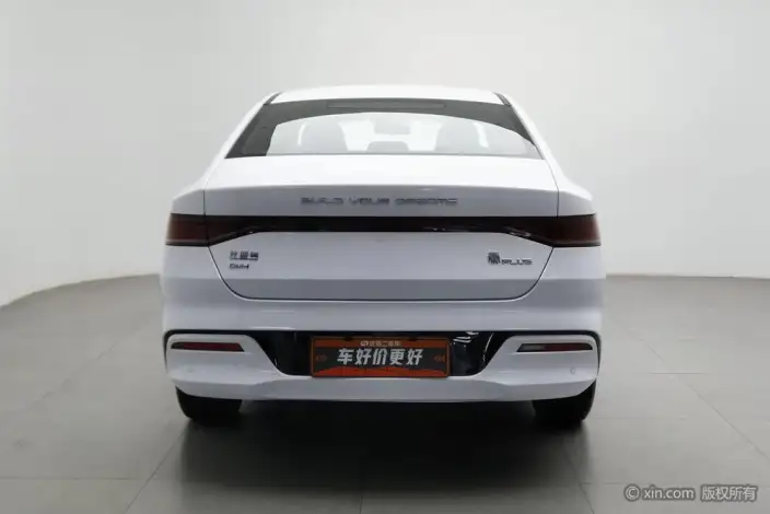 BYD Qin PLUS DM 2024 Model Honor Edition DM-i 55KM Leading Model – фото 3