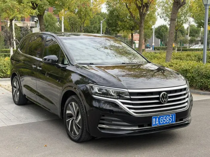 Viloran 2024 Model 330TSI Deluxe Edition – фото 3
