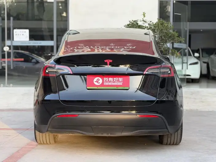 Model Y 2023 Model Rear-wheel drive version – фото 5