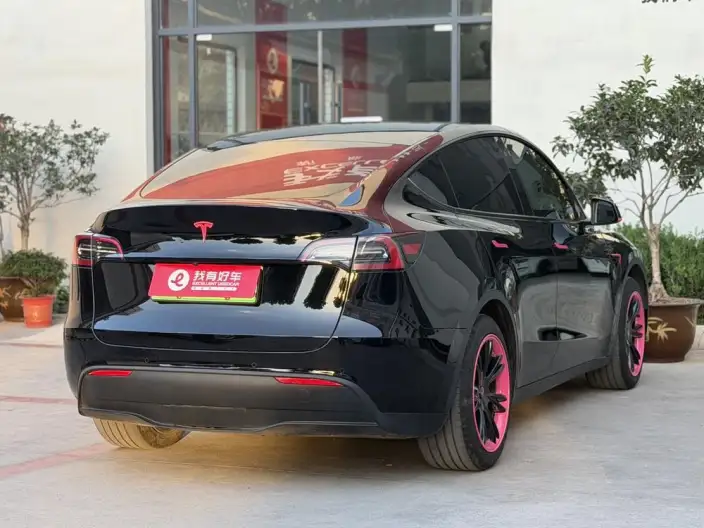 Model Y 2023 Model Rear-wheel drive version – фото 6