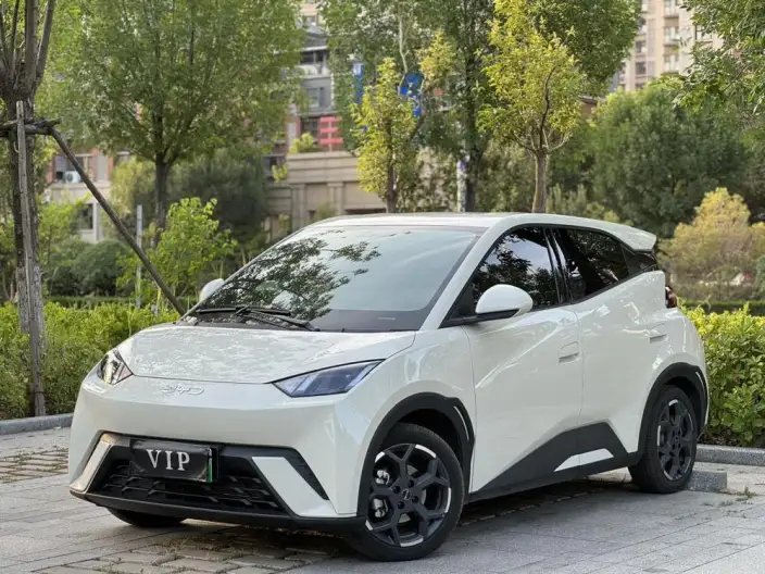 BYD Seagull 2025 Model 305KM Free Edition – фото 1