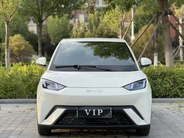BYD Seagull 2025 Model 305KM Free Edition – фото 2