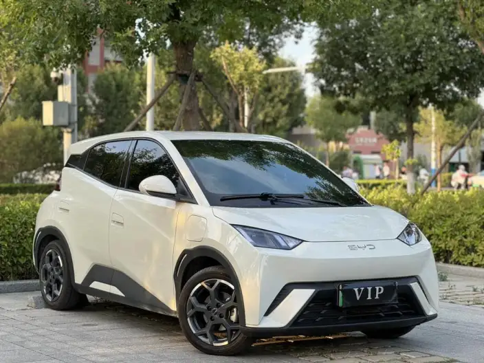 BYD Seagull 2025 Model 305KM Free Edition – фото 3