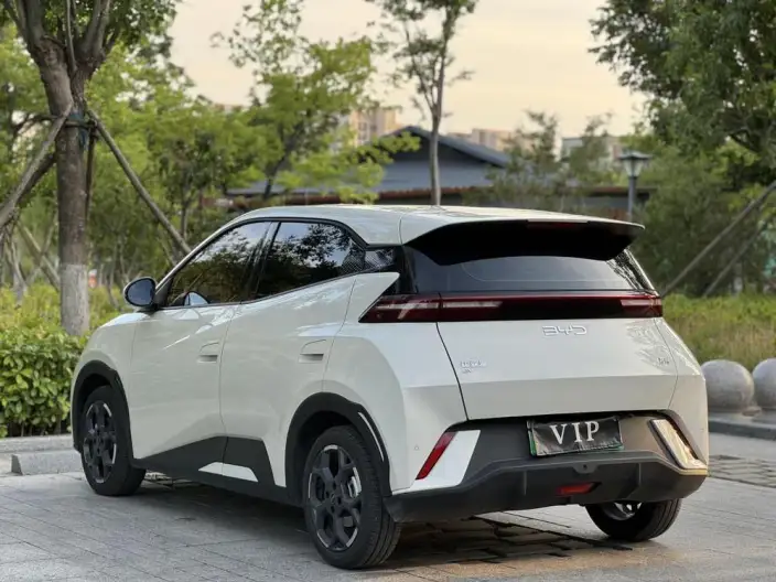 BYD Seagull 2025 Model 305KM Free Edition – фото 4