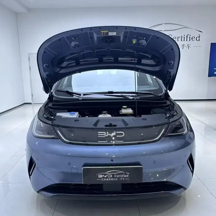 BYD Dolphin 2025 Model Smart Driving Edition 410KM Fashion Edition – фото 2