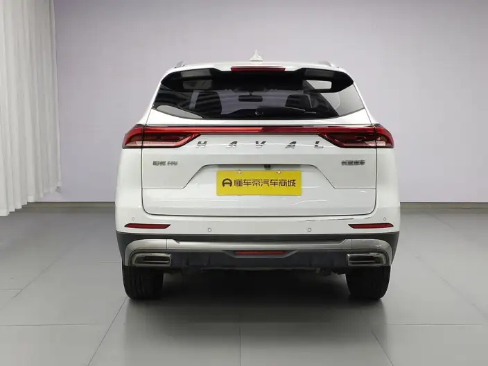 Haval H6 2021 Model Guo Trendy Edition 1.5T Automatic Urban Edition – фото 6