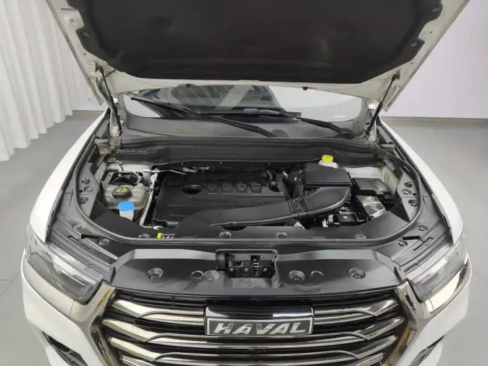 Haval H6 2021 Model Guo Trendy Edition 1.5T Automatic Urban Edition – фото 10