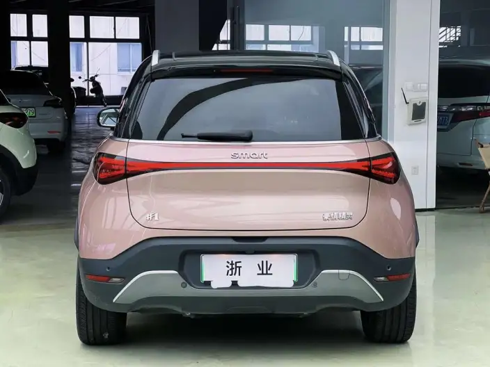 smart #1 2022 Model Premium
