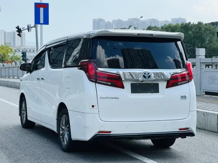 Elfa 2021 Model Hybrid 2.5L Deluxe Edition – фото 4