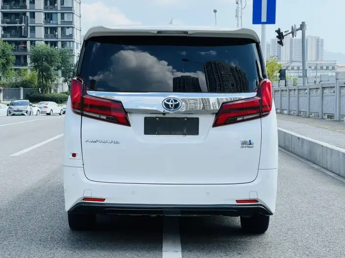 Elfa 2021 Model Hybrid 2.5L Deluxe Edition – фото 5