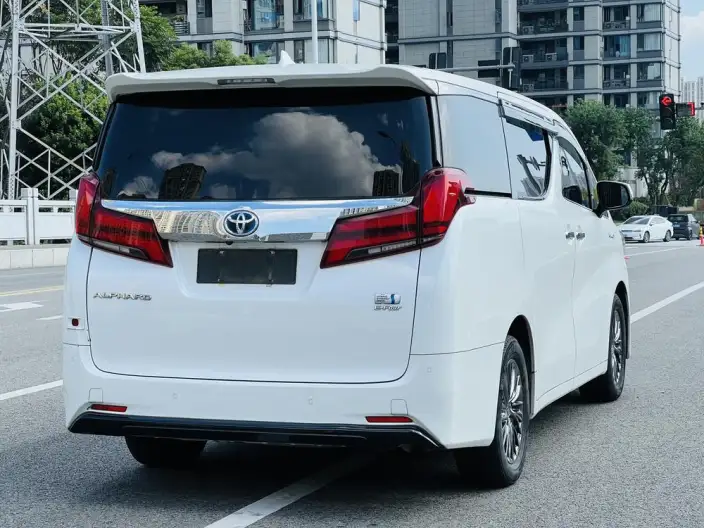 Elfa 2021 Model Hybrid 2.5L Deluxe Edition – фото 6
