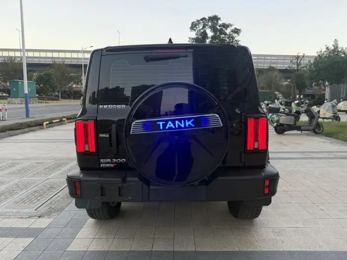 Tank 300 Hi4-T 2025 Model 2.0T Standard Model 37.1kW·h – фото 6