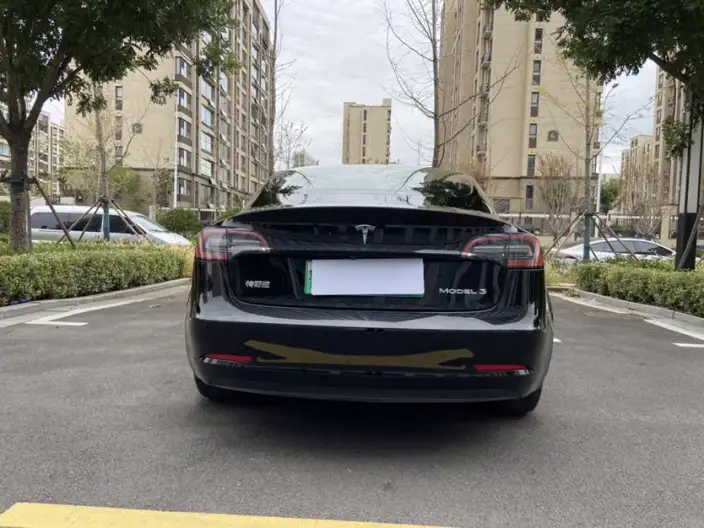 Model 3 2022 Model Rear-wheel drive version – фото 6