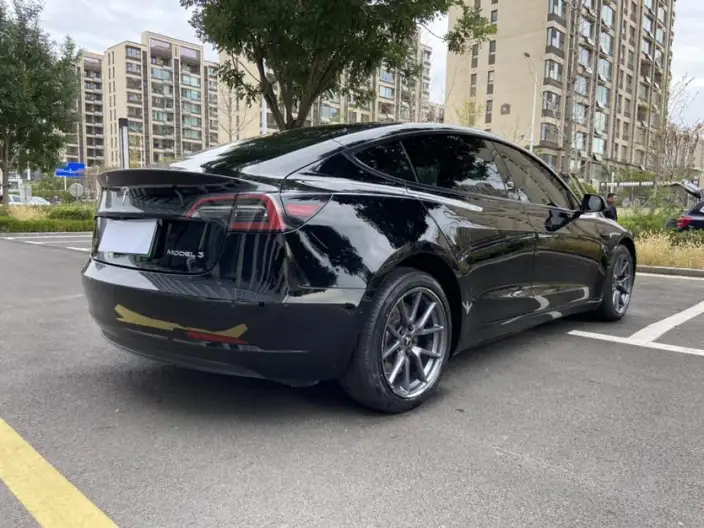 Model 3 2022 Model Rear-wheel drive version – фото 7