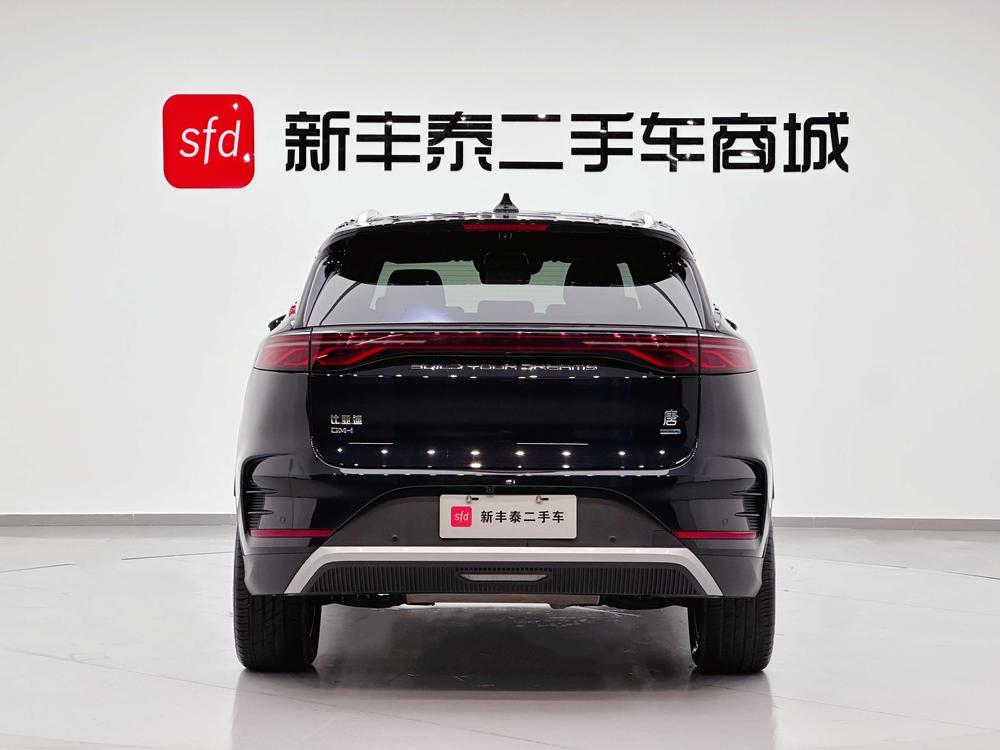 BYD Tang DM 2025 Model Intelligent Driving Edition DM-i 115km Honor Edition – фото 5