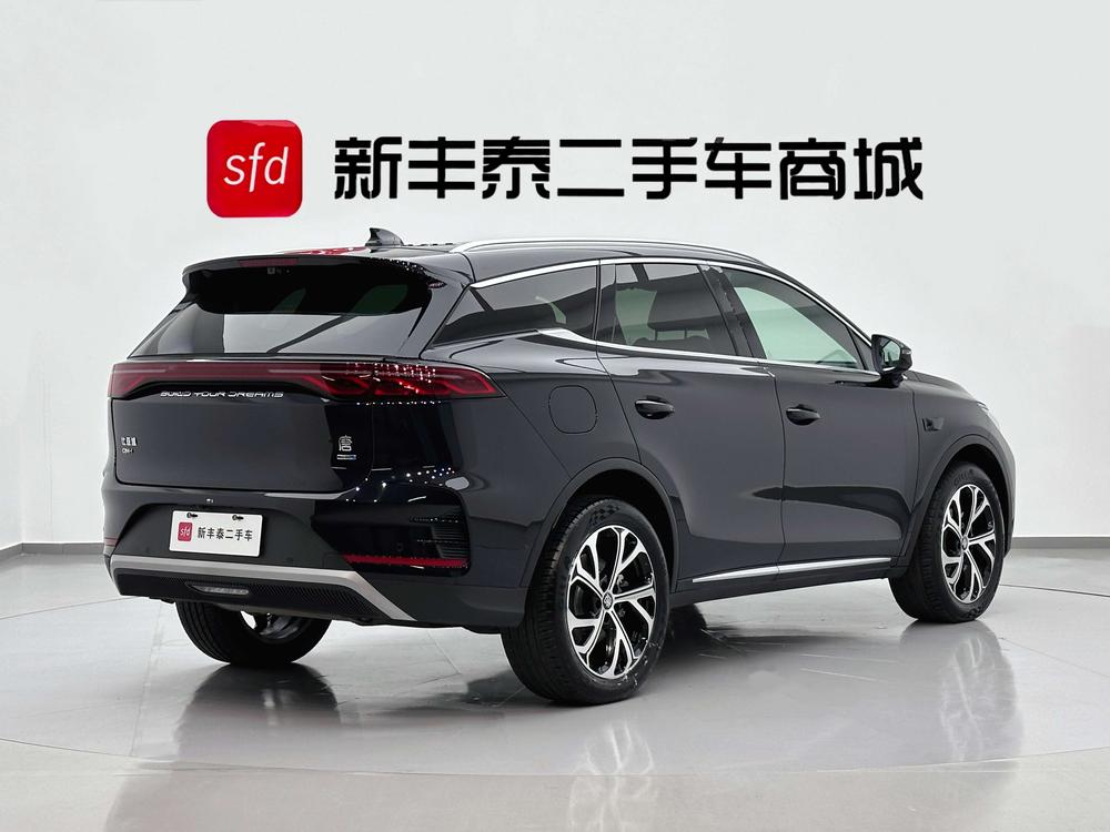 BYD Tang DM 2025 Model Intelligent Driving Edition DM-i 115km Honor Edition – фото 6