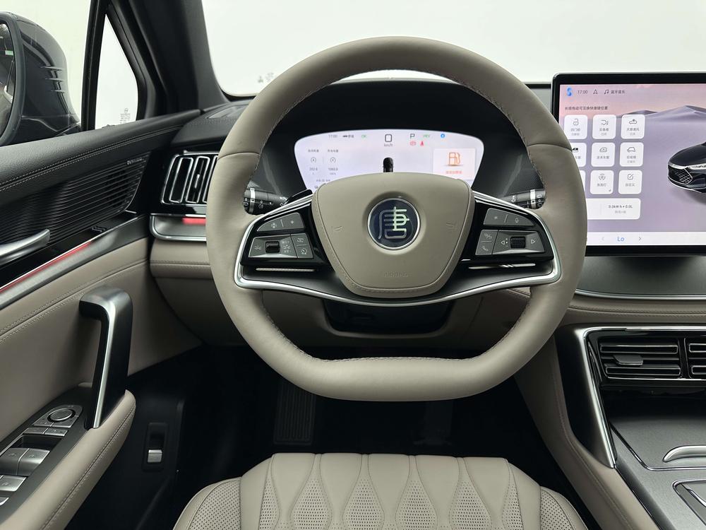 BYD Tang DM 2025 Model Intelligent Driving Edition DM-i 115km Honor Edition – фото 25