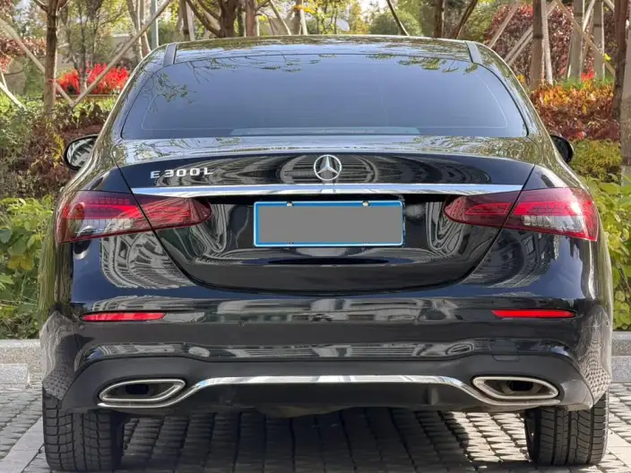 Mercedes-Benz E-Class 2023 Model E 300 L Luxury Model Sports sedan – фото 6