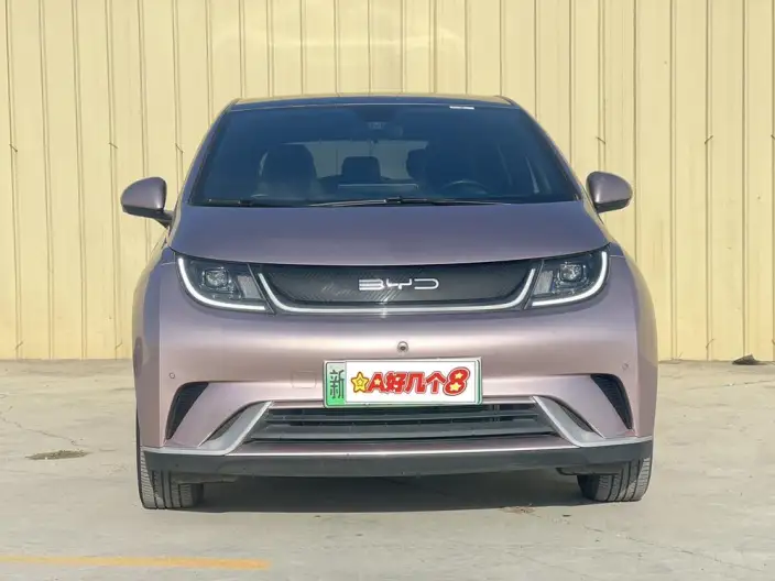 BYD Dolphin 2023 Model Free Edition – фото 2