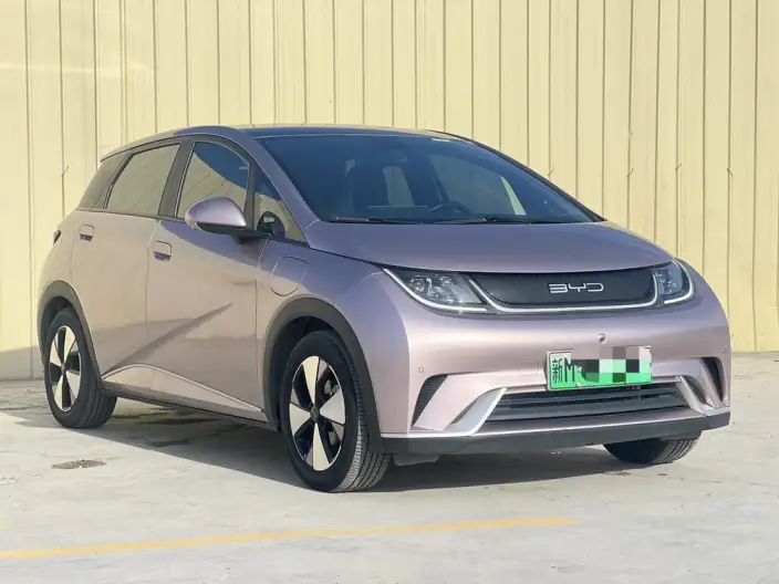 BYD Dolphin 2023 Model Free Edition – фото 3