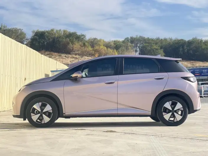 BYD Dolphin 2023 Model Free Edition – фото 4