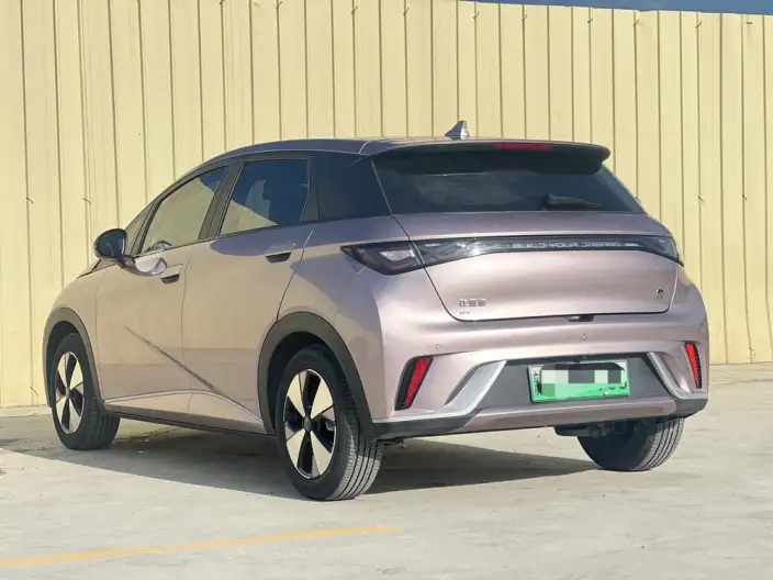 BYD Dolphin 2023 Model Free Edition – фото 5