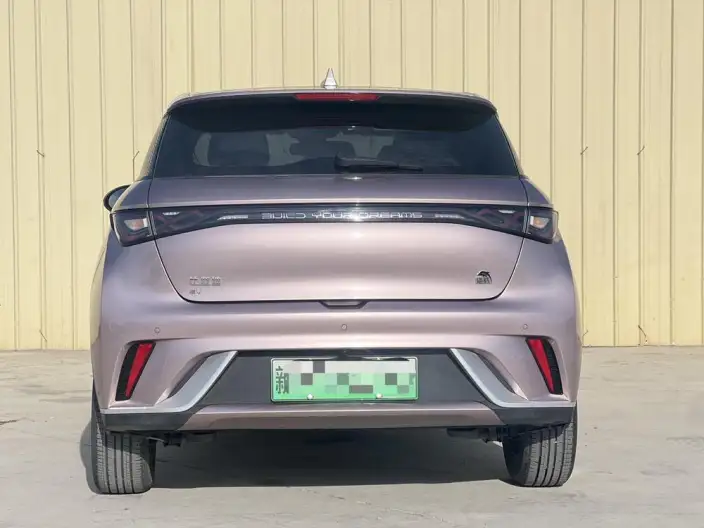 BYD Dolphin 2023 Model Free Edition – фото 6