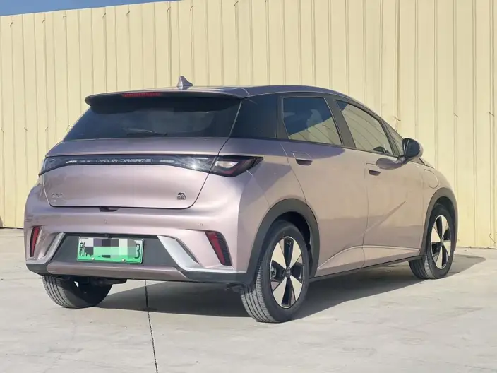 BYD Dolphin 2023 Model Free Edition – фото 7