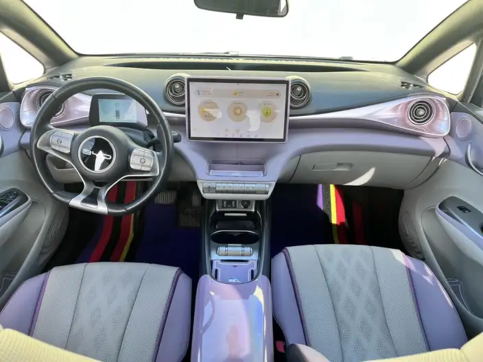 BYD Dolphin 2023 Model Free Edition – фото 8