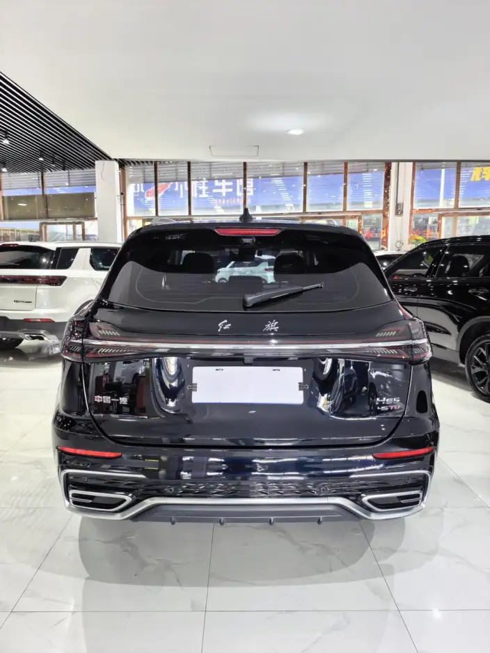 Hongqi HS5 2025 Model 2.0T Flag Xiang Pro Edition – фото 5
