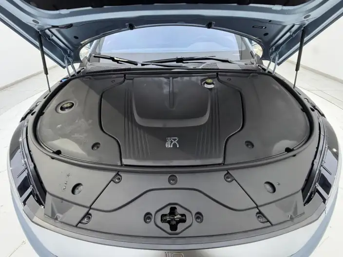 BYD Han EV 2023 Model Champion Edition 506KM Noble Model – фото 9