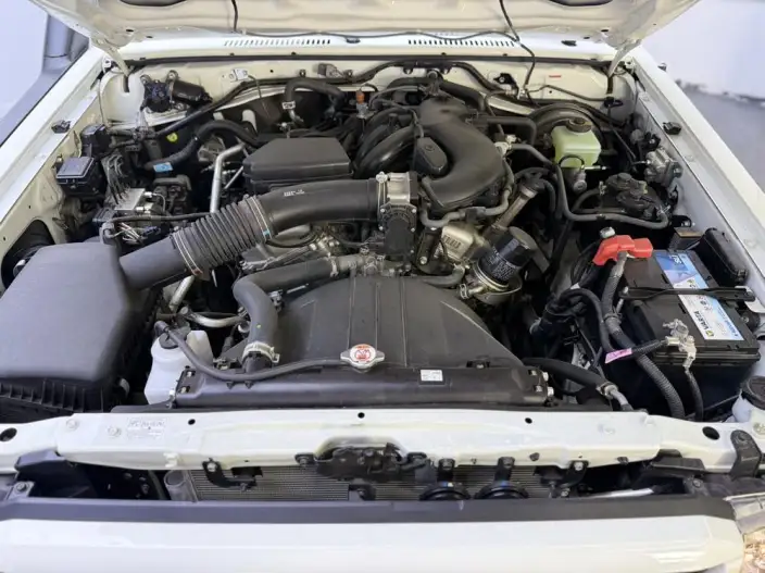 Rand Coolouse 70 2022 Model 4.0L Manual 4WD 5 seat Parallel Imported – фото 7