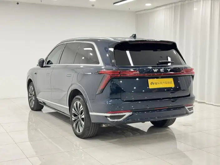 Wey Blue Mountain 2023 Model 4WD Ultra-long Endurance – фото 5