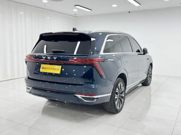 Wey Blue Mountain 2023 Model 4WD Ultra-long Endurance – фото 7
