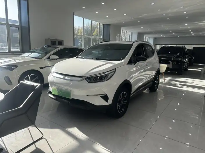 Yuan Pro 2023 Model 401KM Noble Model