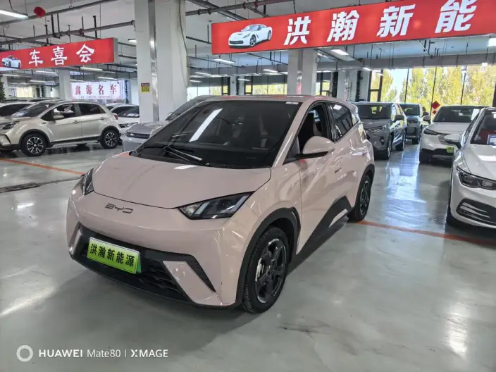 BYD Seagull 2023 Model Feixiang Edition
