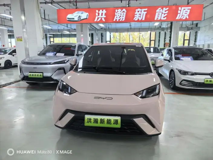 BYD Seagull 2023 Model Feixiang Edition