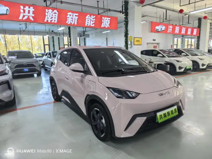 BYD Seagull 2023 Model Feixiang Edition