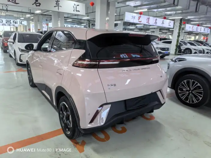 BYD Seagull 2023 Model Feixiang Edition