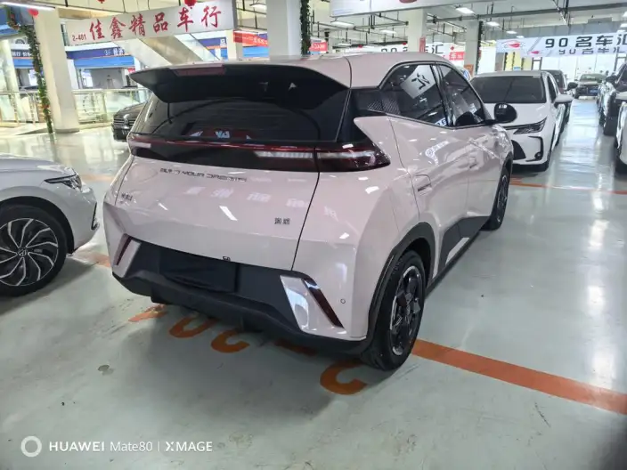 BYD Seagull 2023 Model Feixiang Edition – фото 6