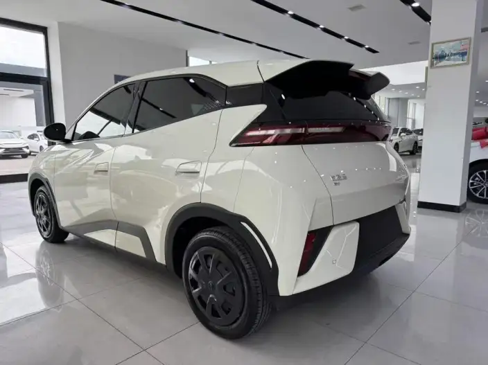 BYD Seagull 2026 Model Vitality Edition