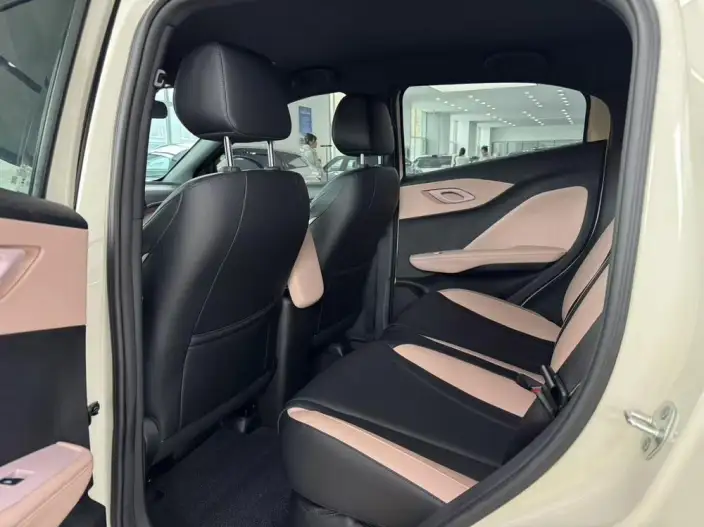 BYD Seagull 2026 Model Vitality Edition – фото 9