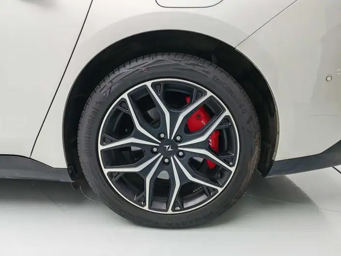 eπ 007 2025 Model EV 565 4WD Max Pilot Edition – фото 9