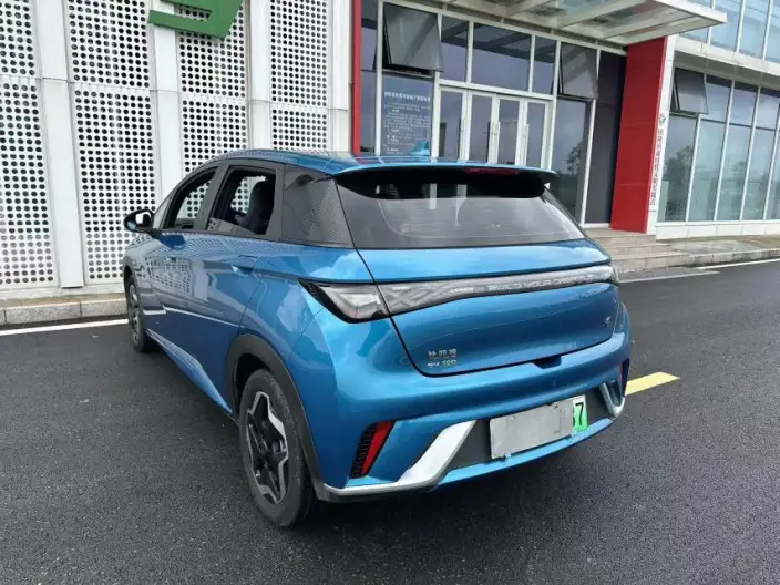 BYD Dolphin 2021 Model Fashion Edition – фото 5