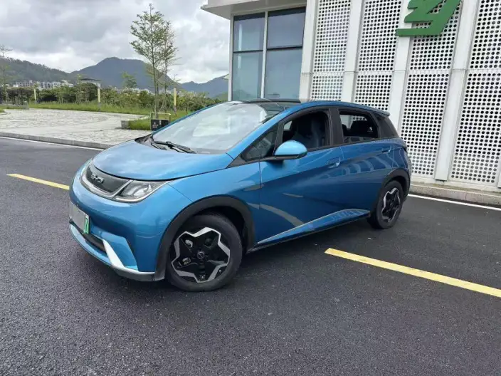 BYD Dolphin 2021 Model Fashion Edition – фото 10