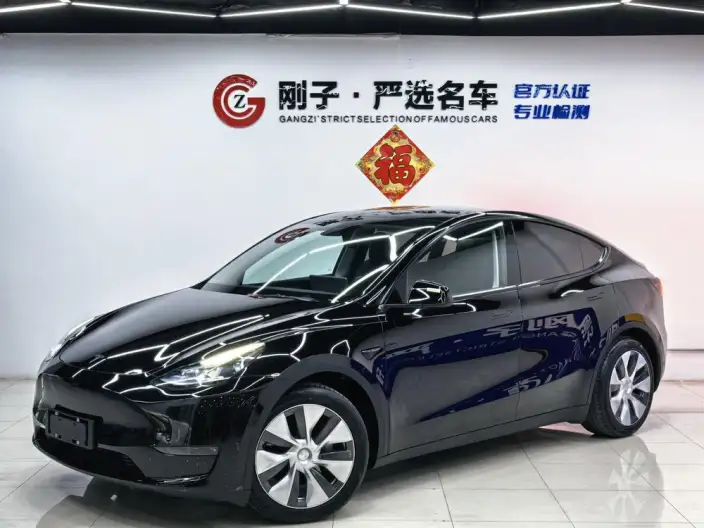 Model Y 2021 Model Standard Battery Life Rear-wheel drive version – фото 1