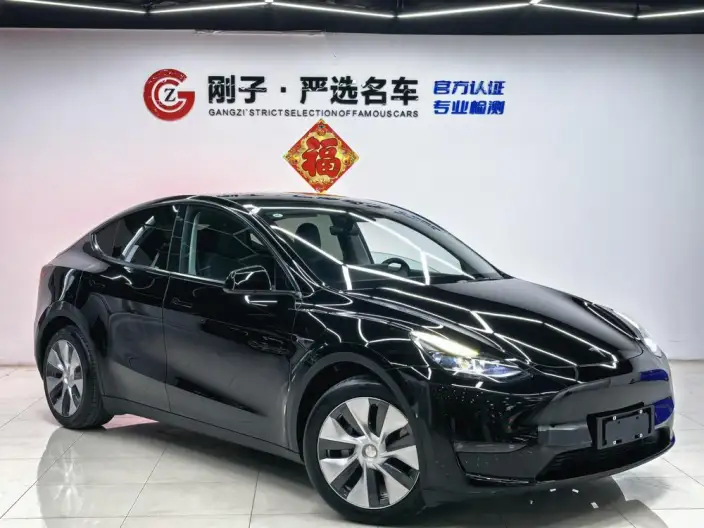 Model Y 2021 Model Standard Battery Life Rear-wheel drive version – фото 3